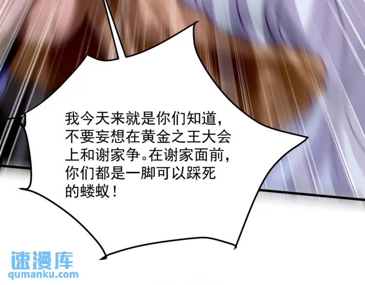 258 柳家家主13