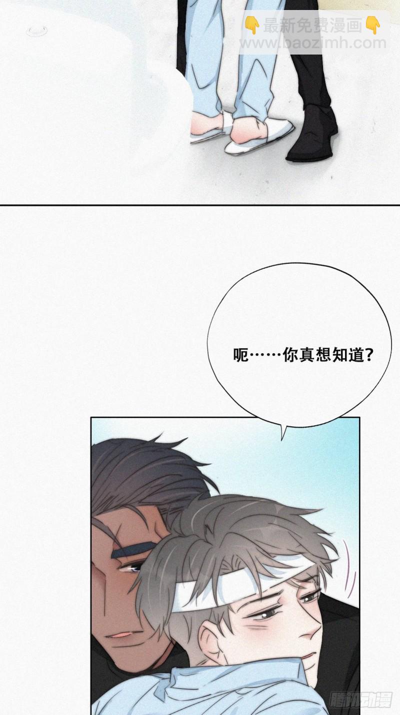 第79话 窝窝“助攻”8