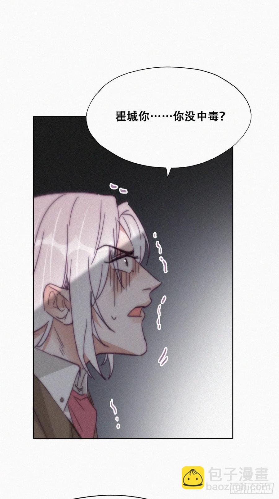 第169话 抓岳照17