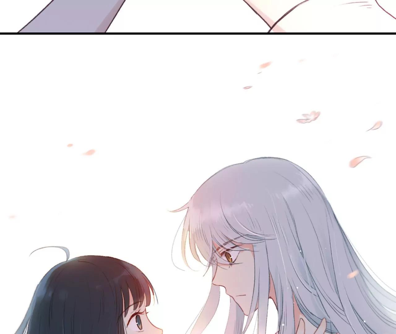 预告17