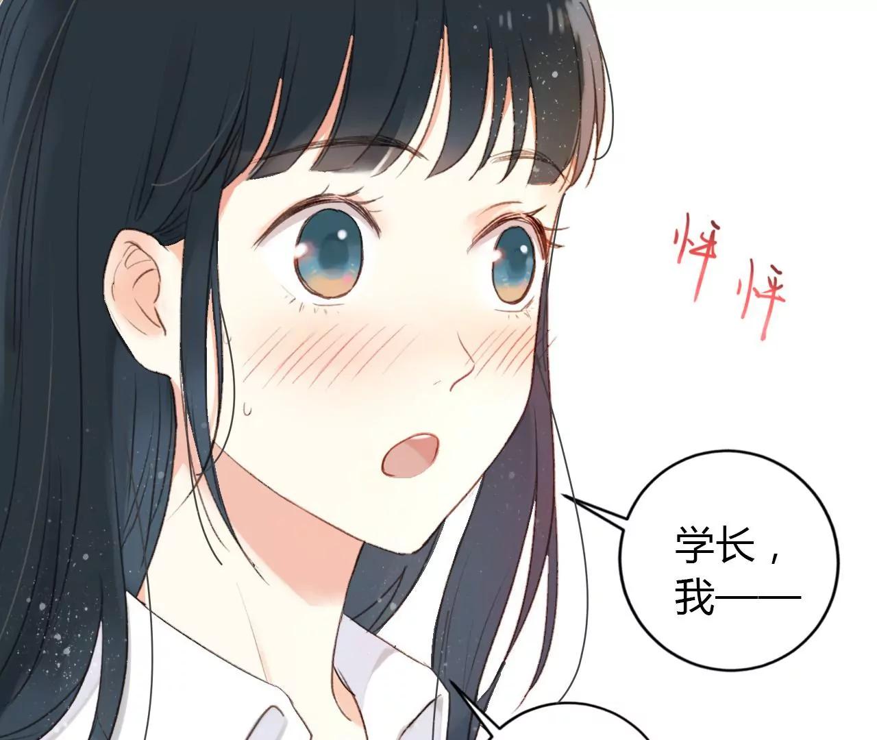 预告6