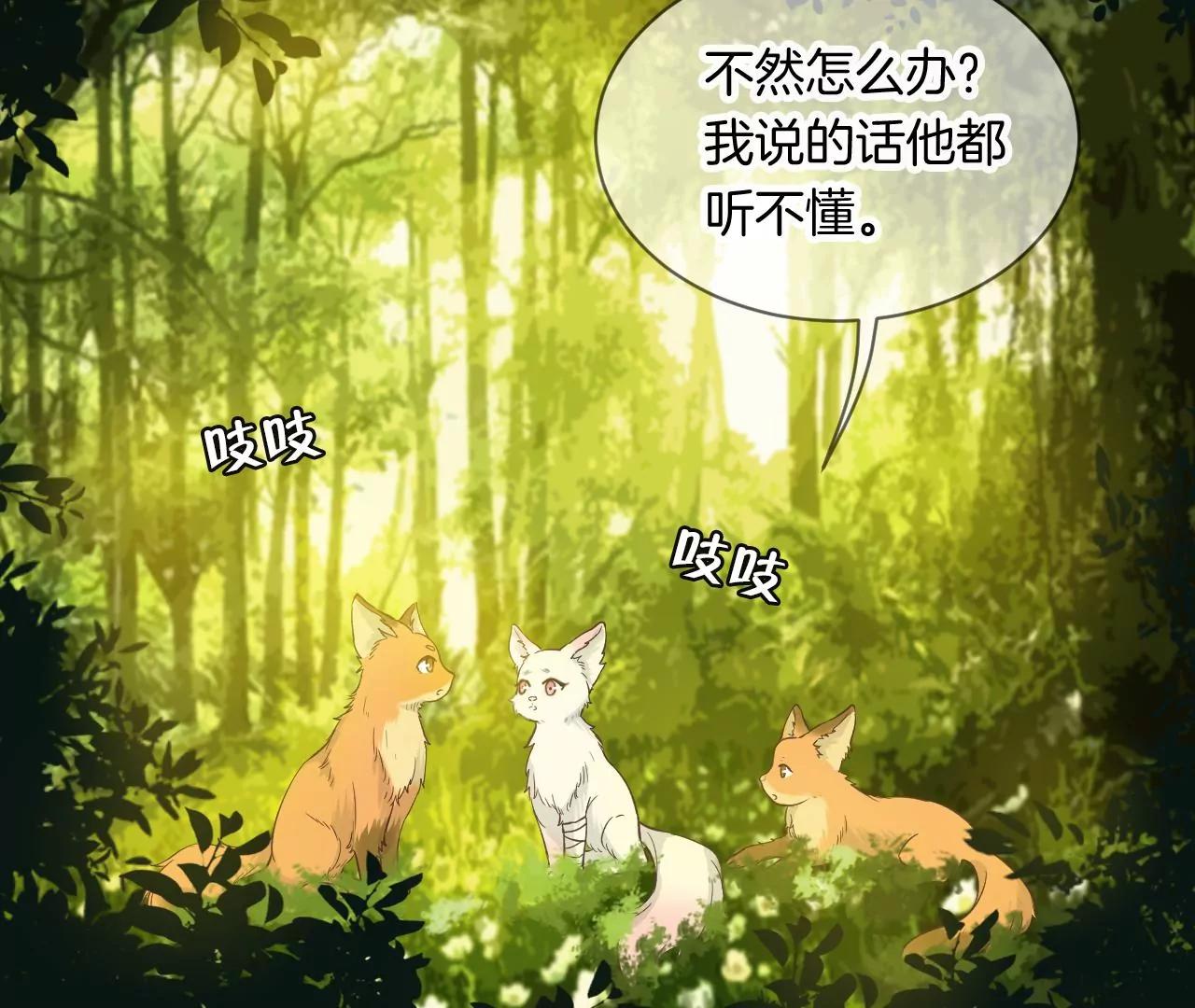 第21话  小狐狸报恩19