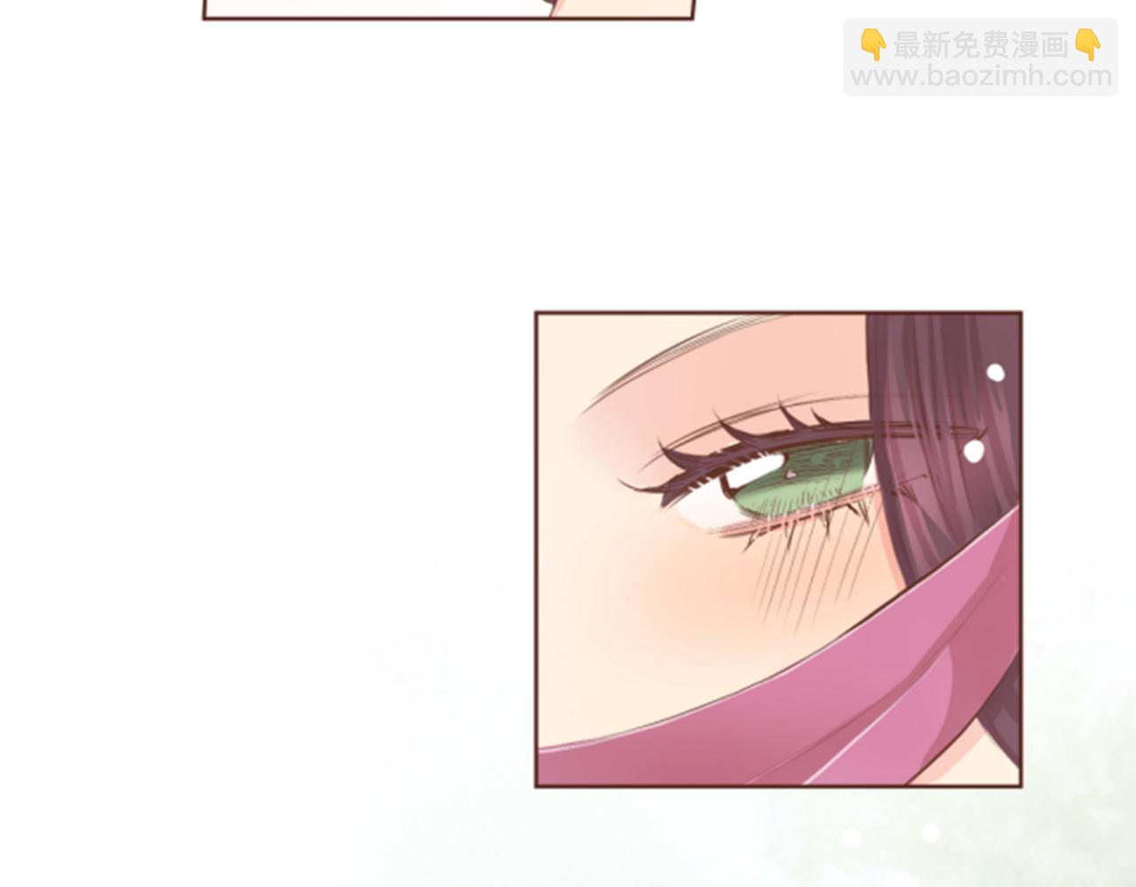 第119话 鸿妃的过去29
