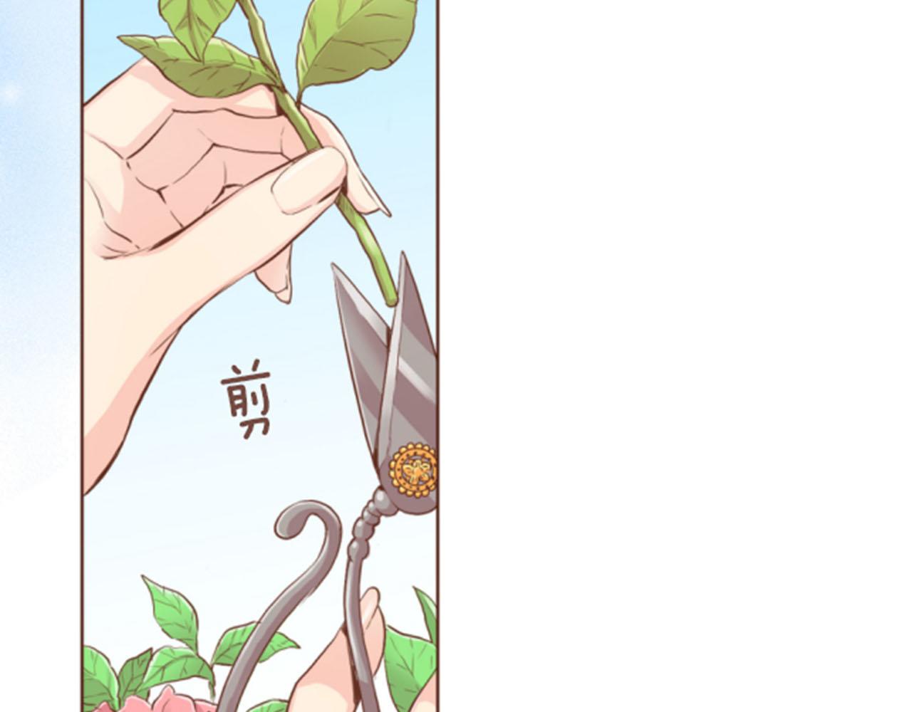 第119话 鸿妃的过去5