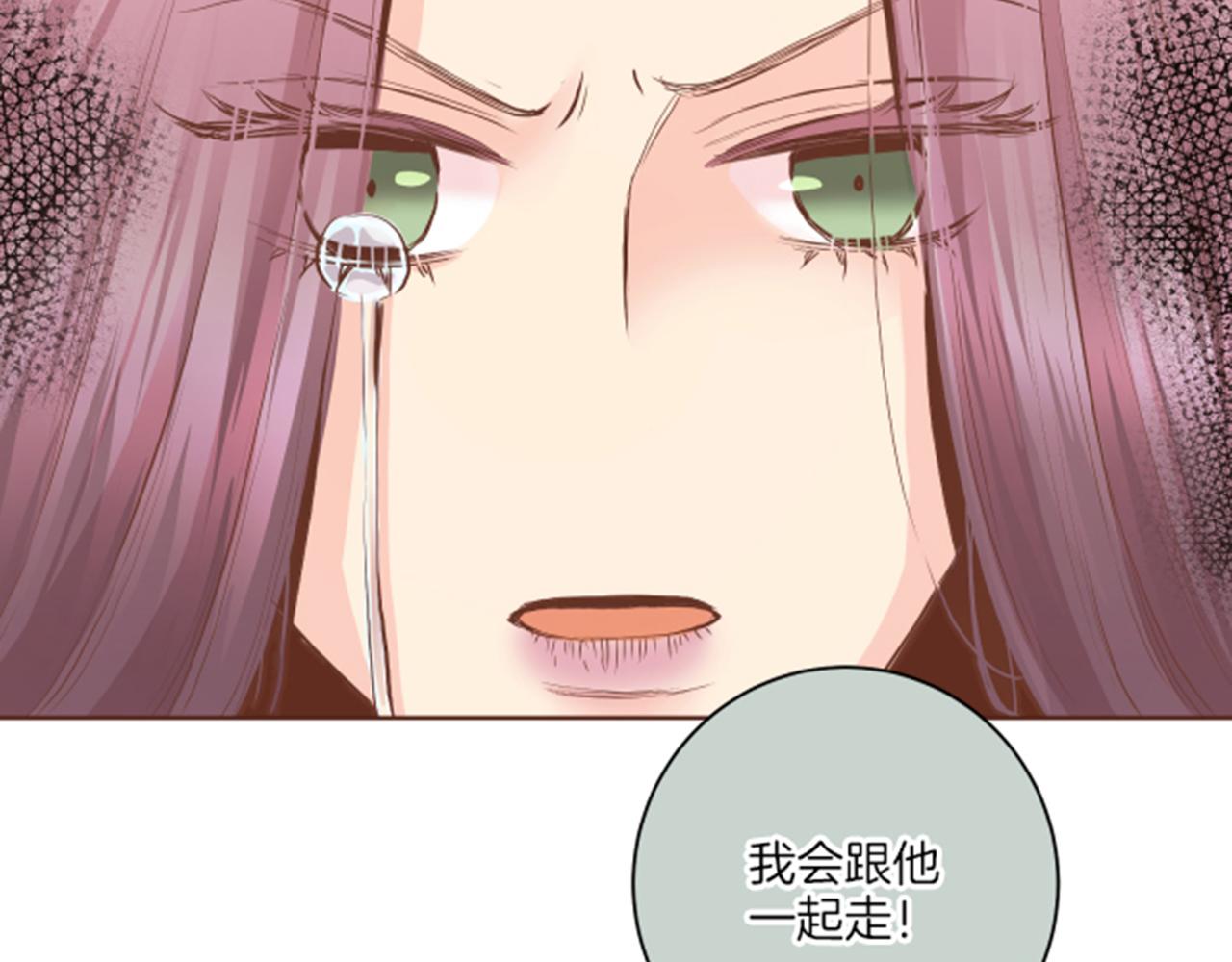 第119话 鸿妃的过去97