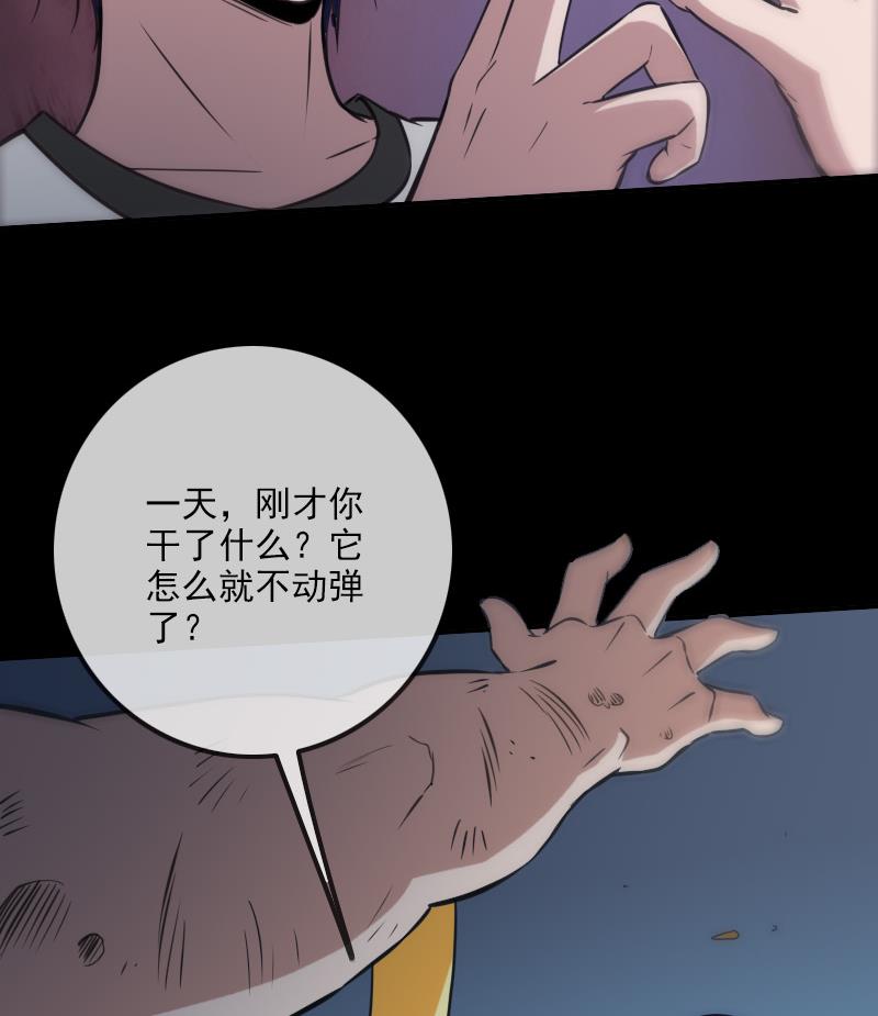 第310话 大赦31