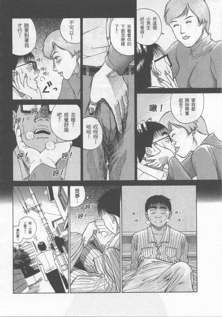 手引书173