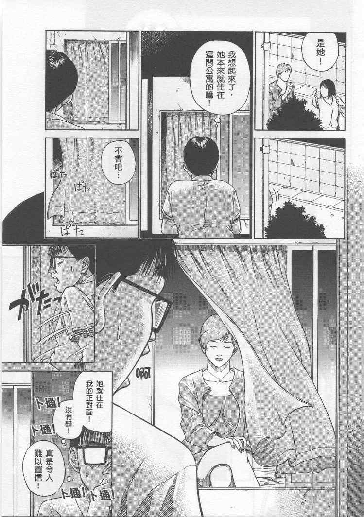 手引书176
