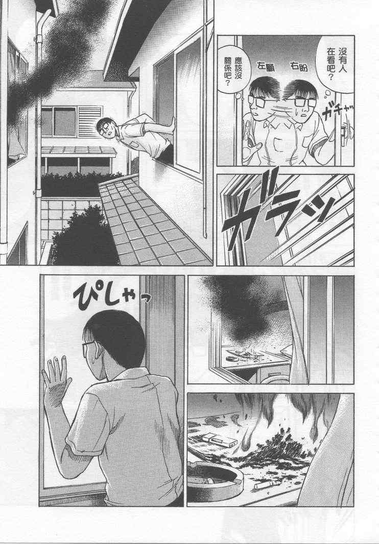 手引书184