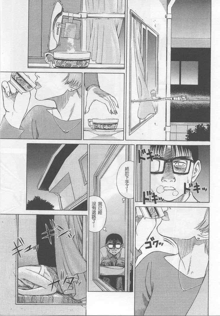 手引书206