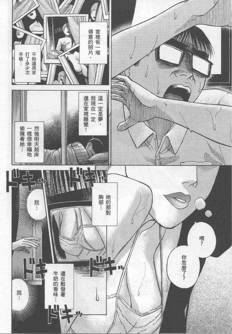 手引书219