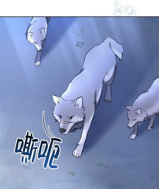 第05话54
