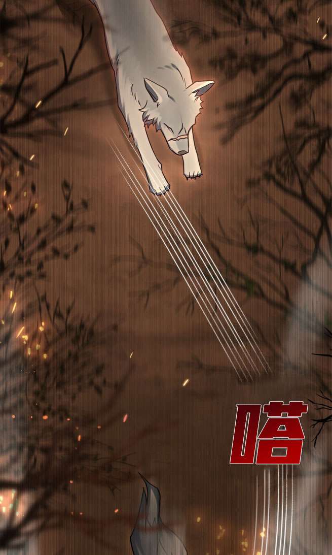 第24话9