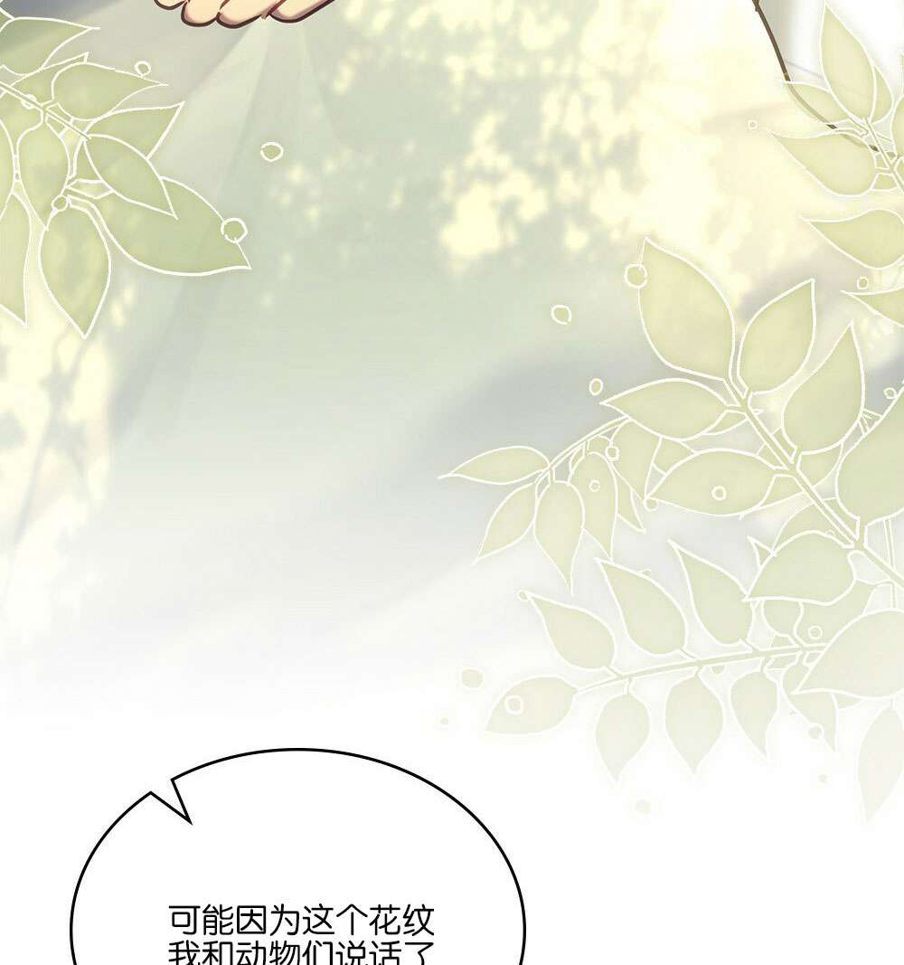 第25话17