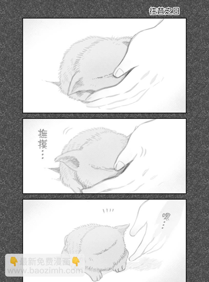 第29话3