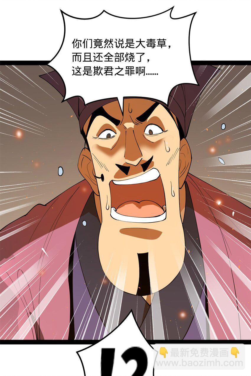 62 火烧大毒草27