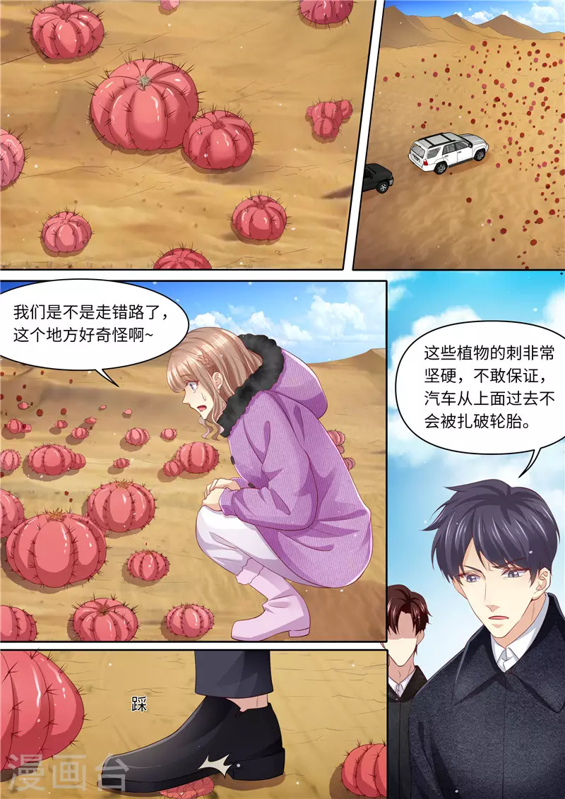 第313话 古城遗迹3