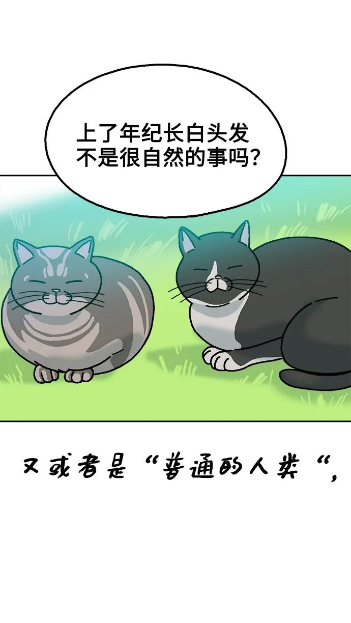 最终话91