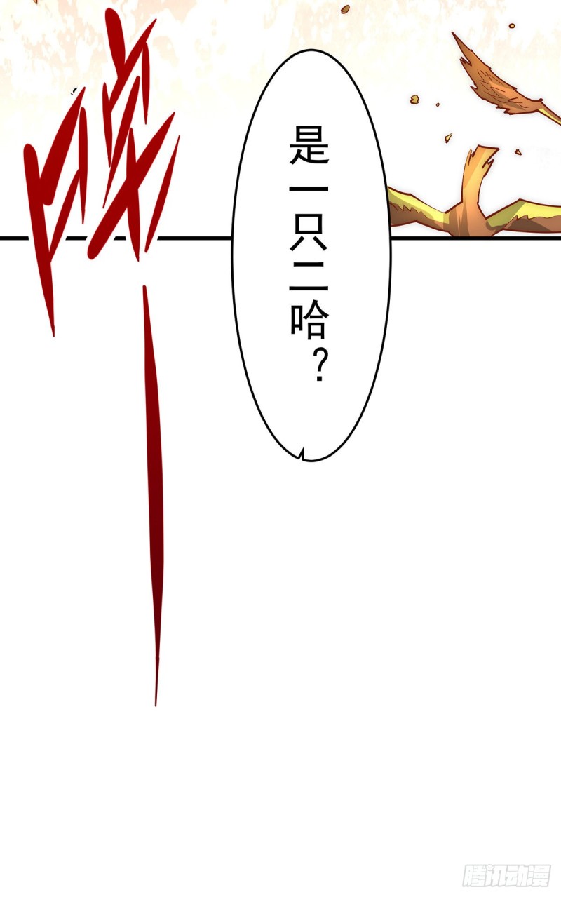 第164话 焱山鹰王37