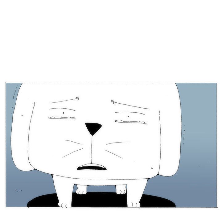 8027