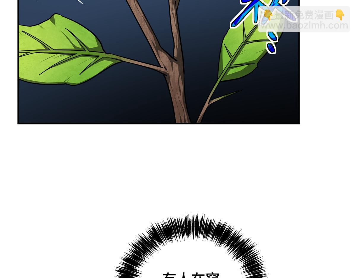 255 达到100级！35