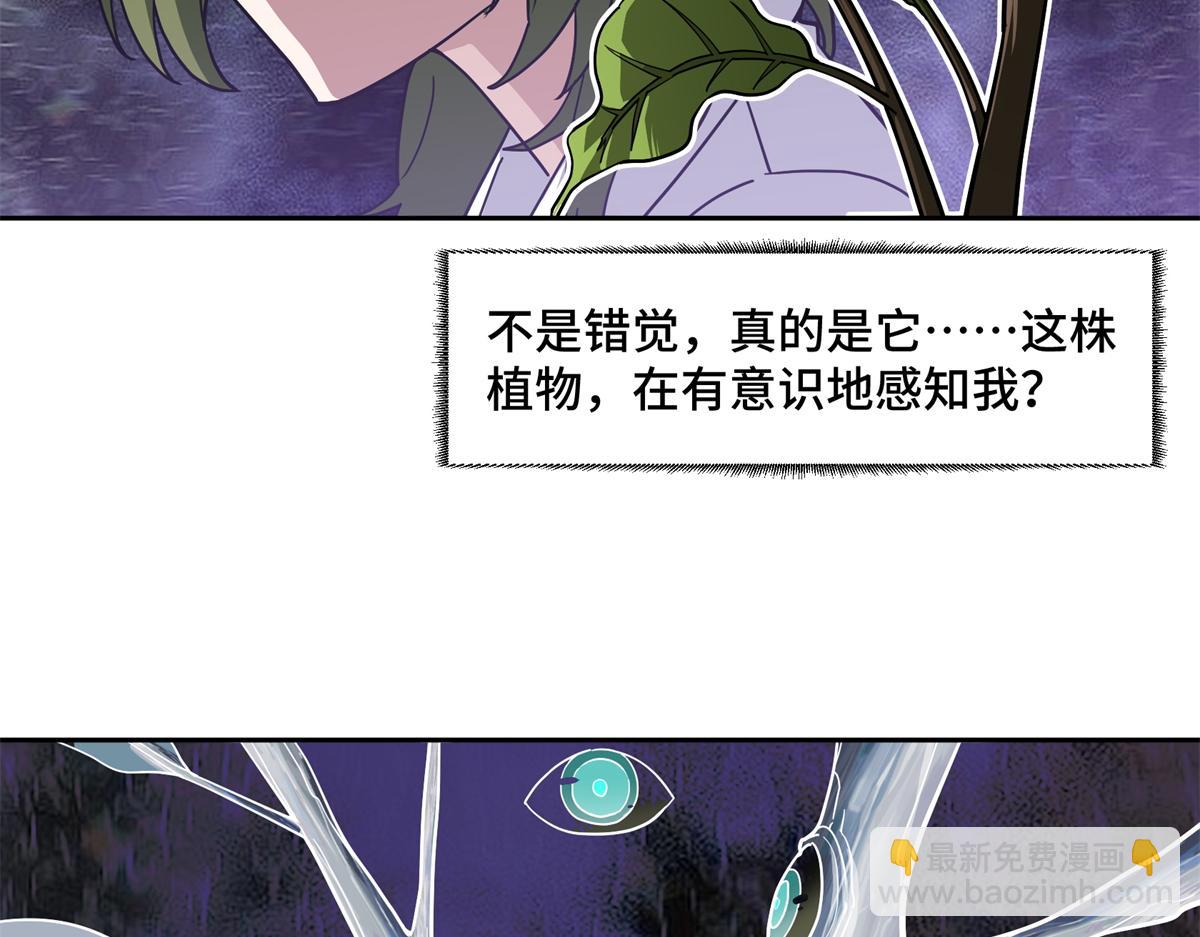 255 达到100级！40