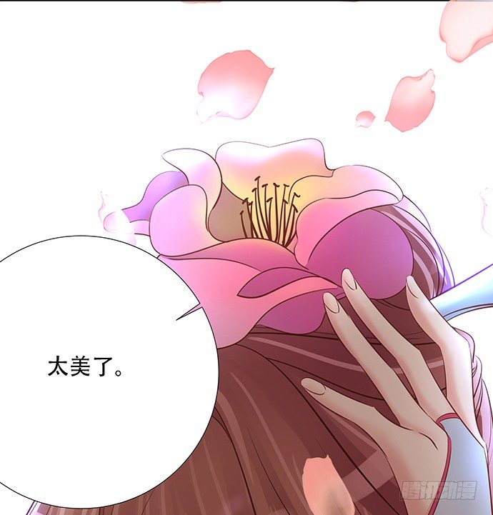 46.花妖之重生（上）41