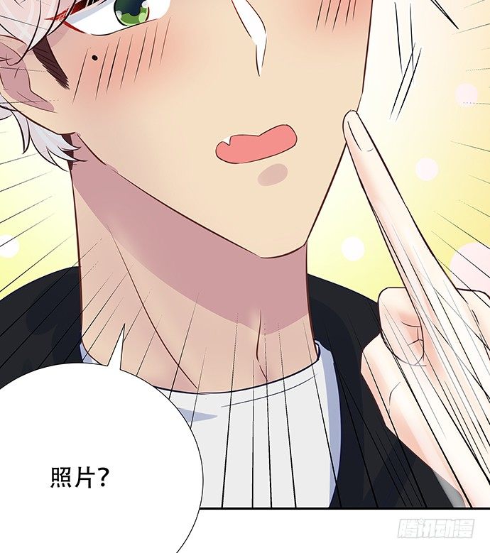 81.……是白的？37