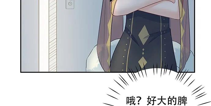 148.见面礼65