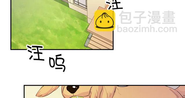 202.我的愿望是什么？69