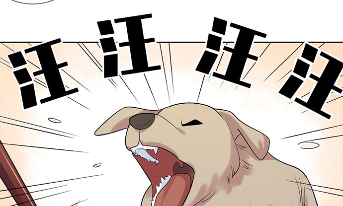 219.解围111