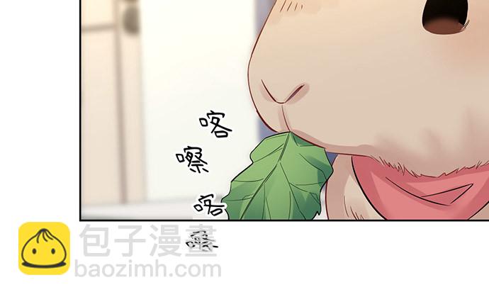 219.解围40