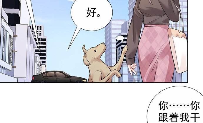 219.解围86
