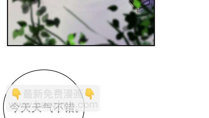230.再见红色手账本11