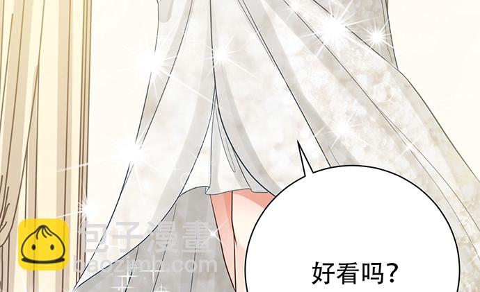 241.红毯上的礼物55