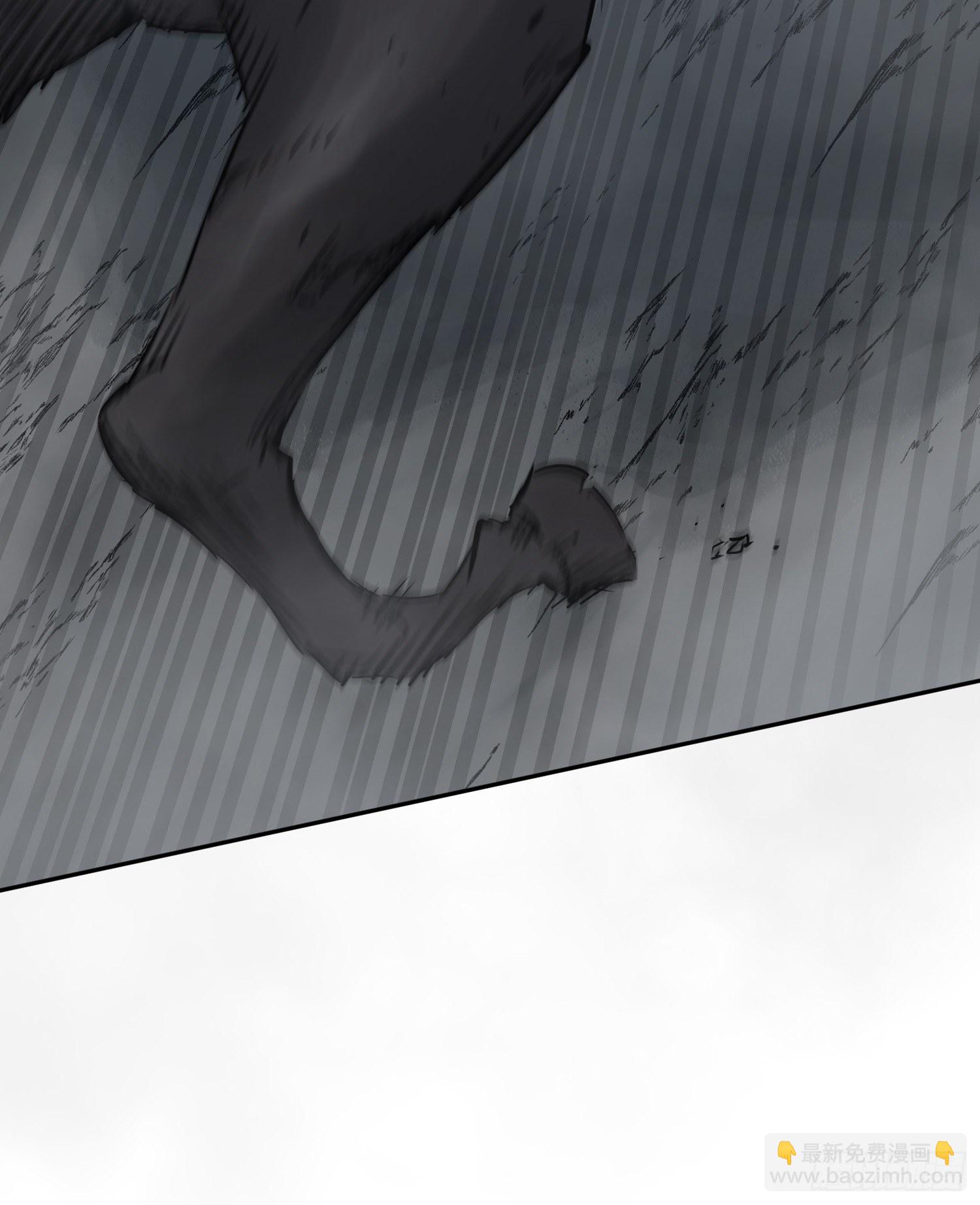 084 绞杀34