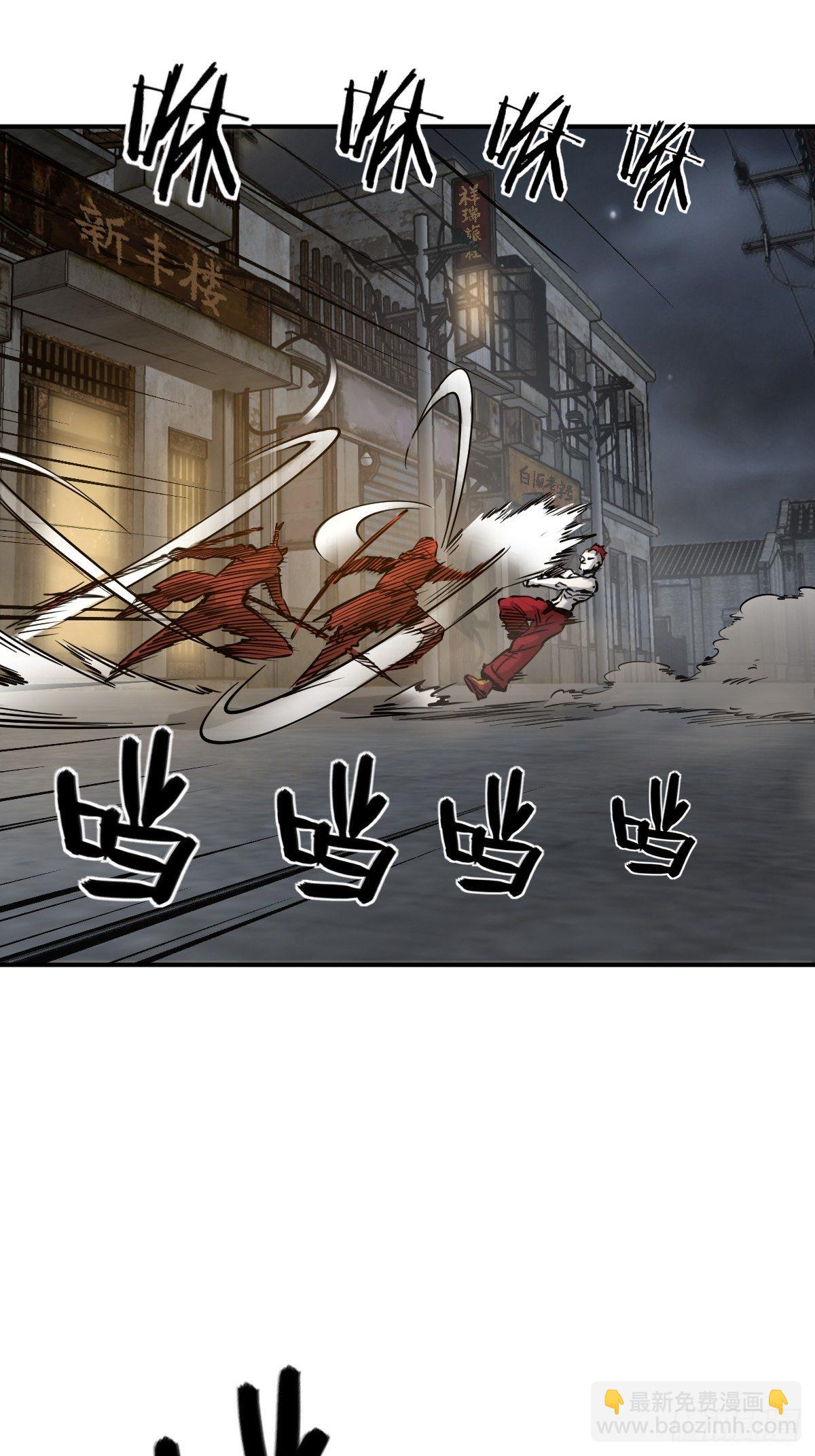 104 鹦鹉10
