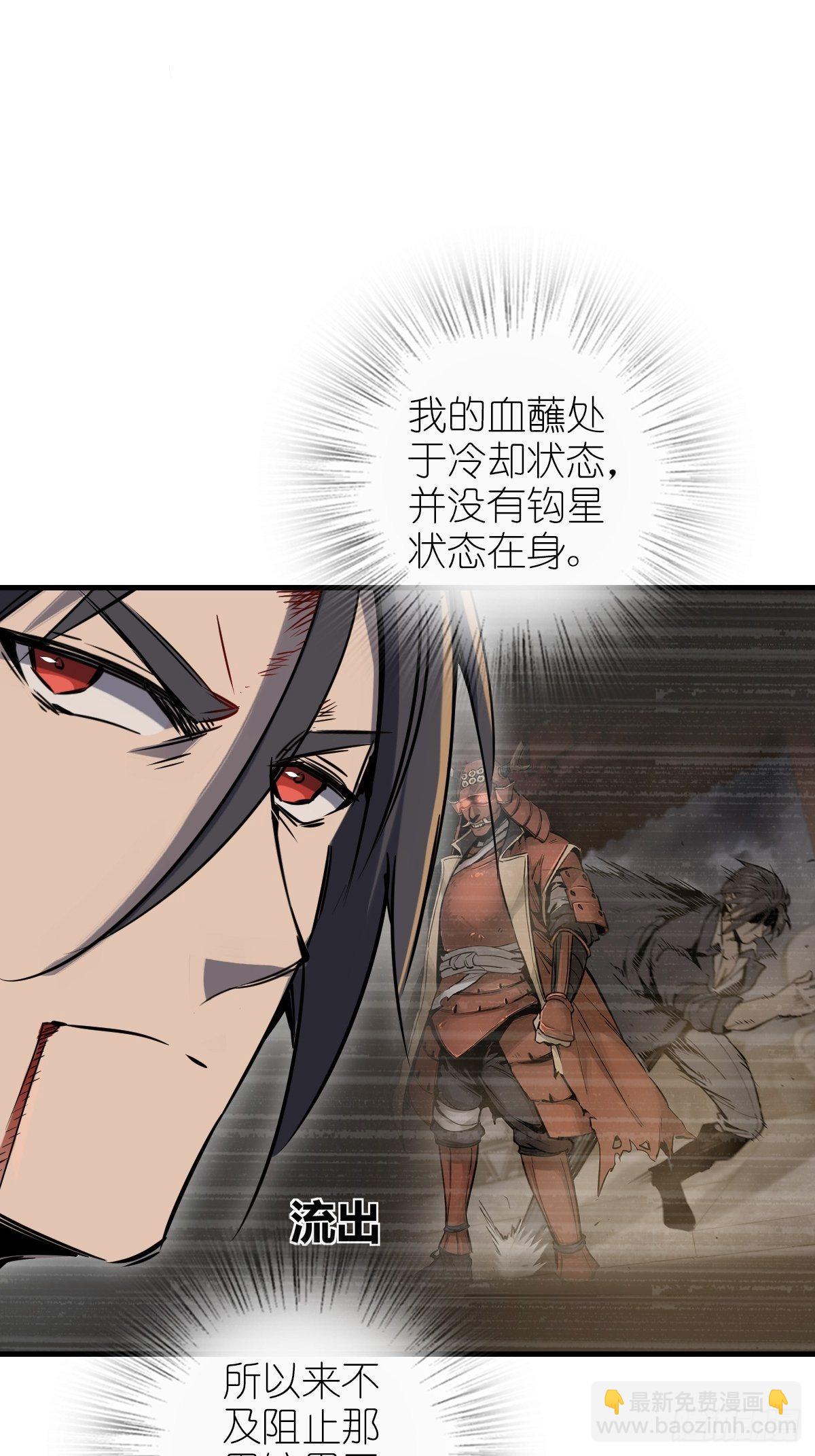 104 鹦鹉19