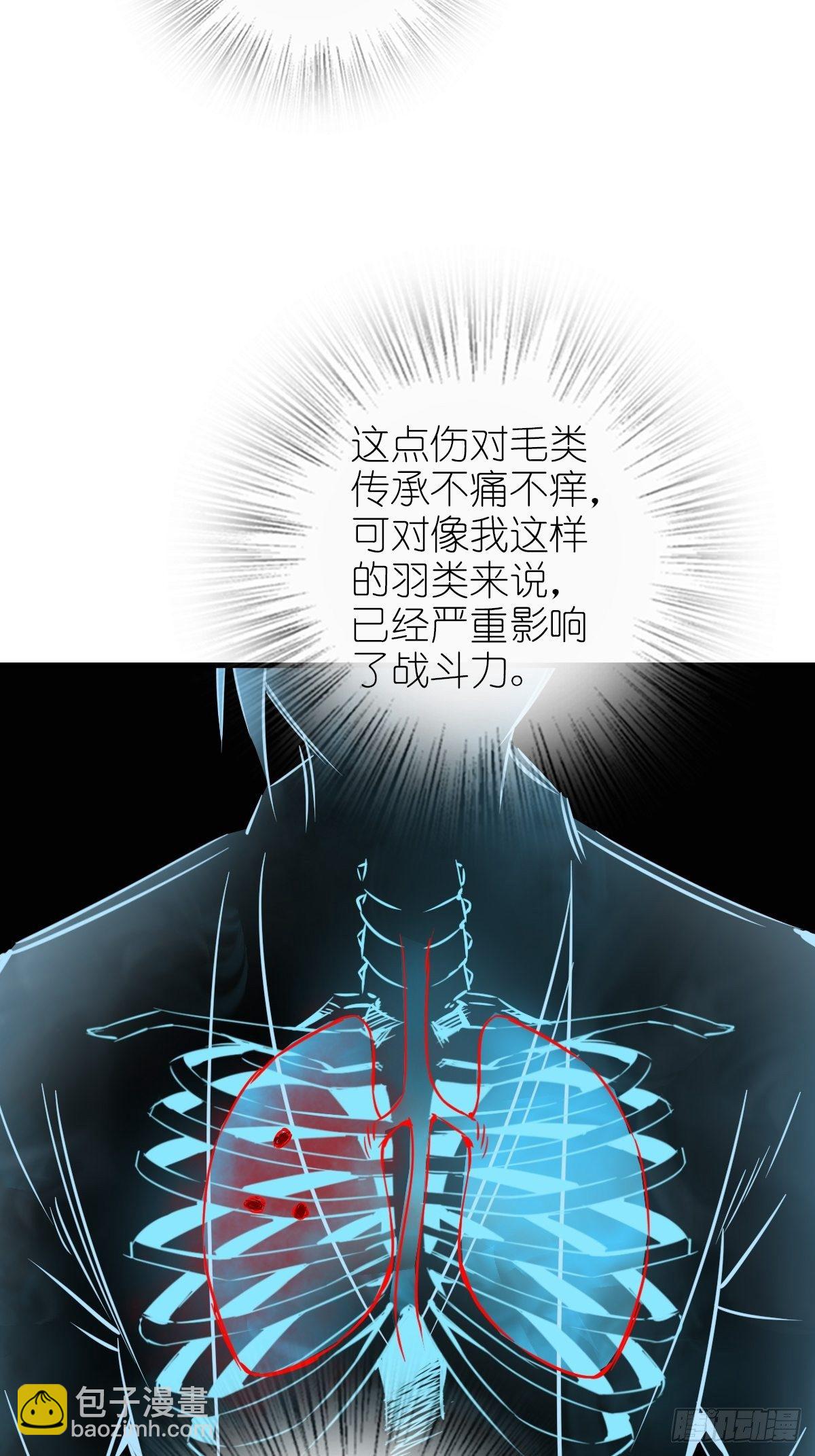 104 鹦鹉21