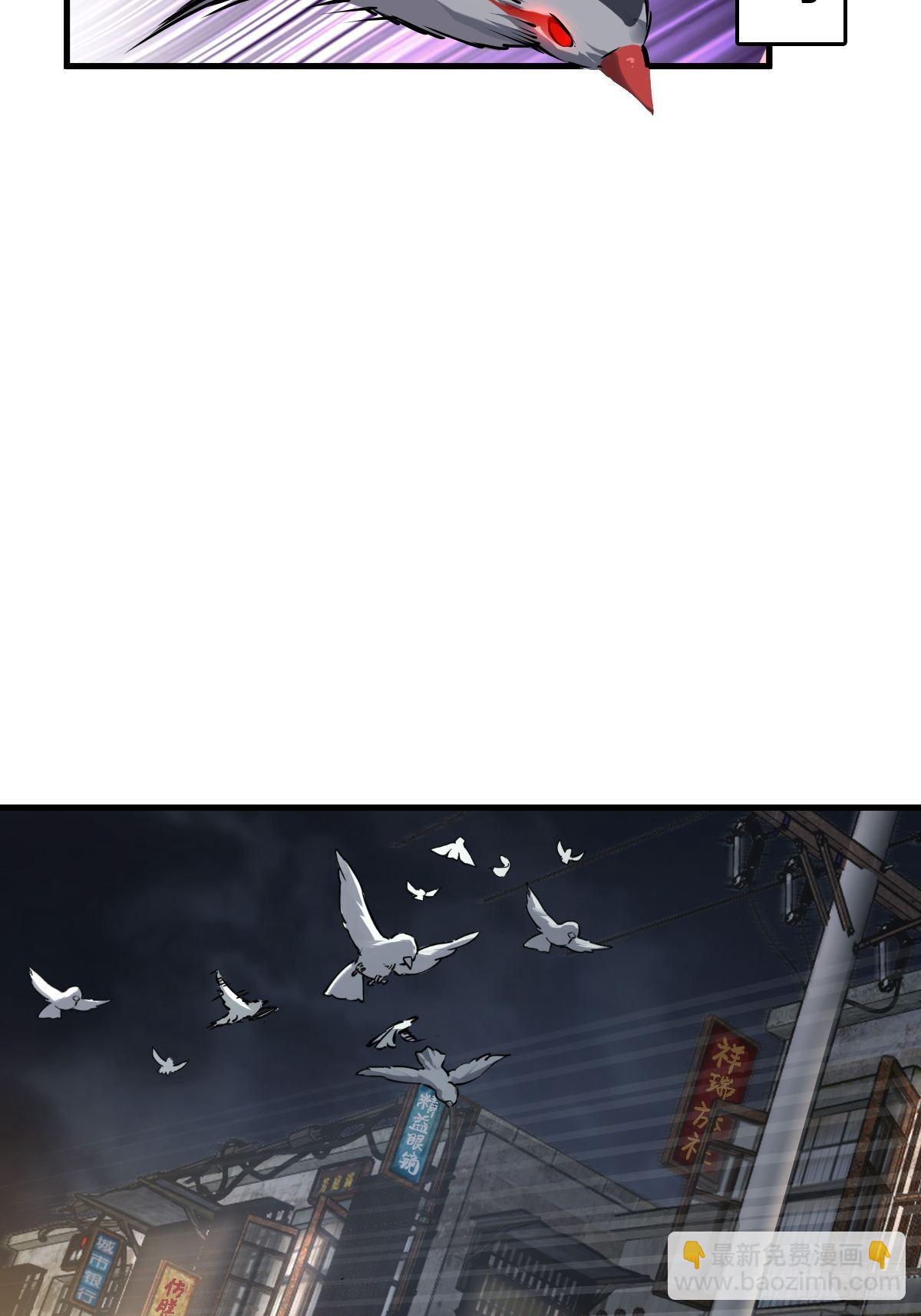 104 鹦鹉25