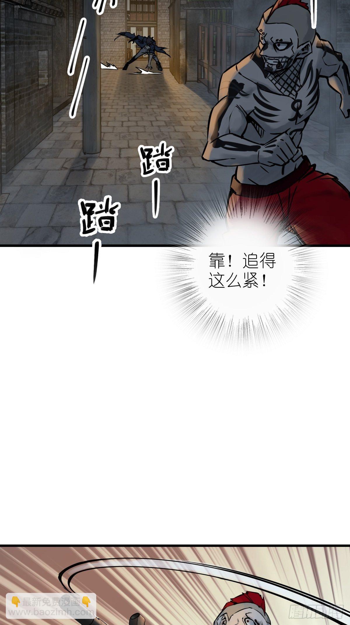 104 鹦鹉41