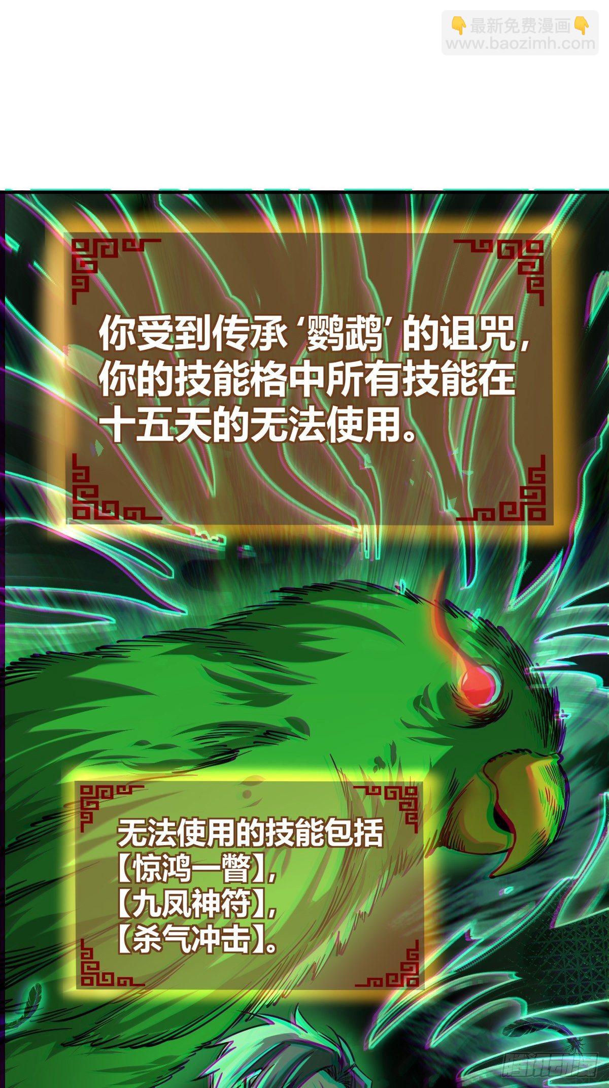 104 鹦鹉6