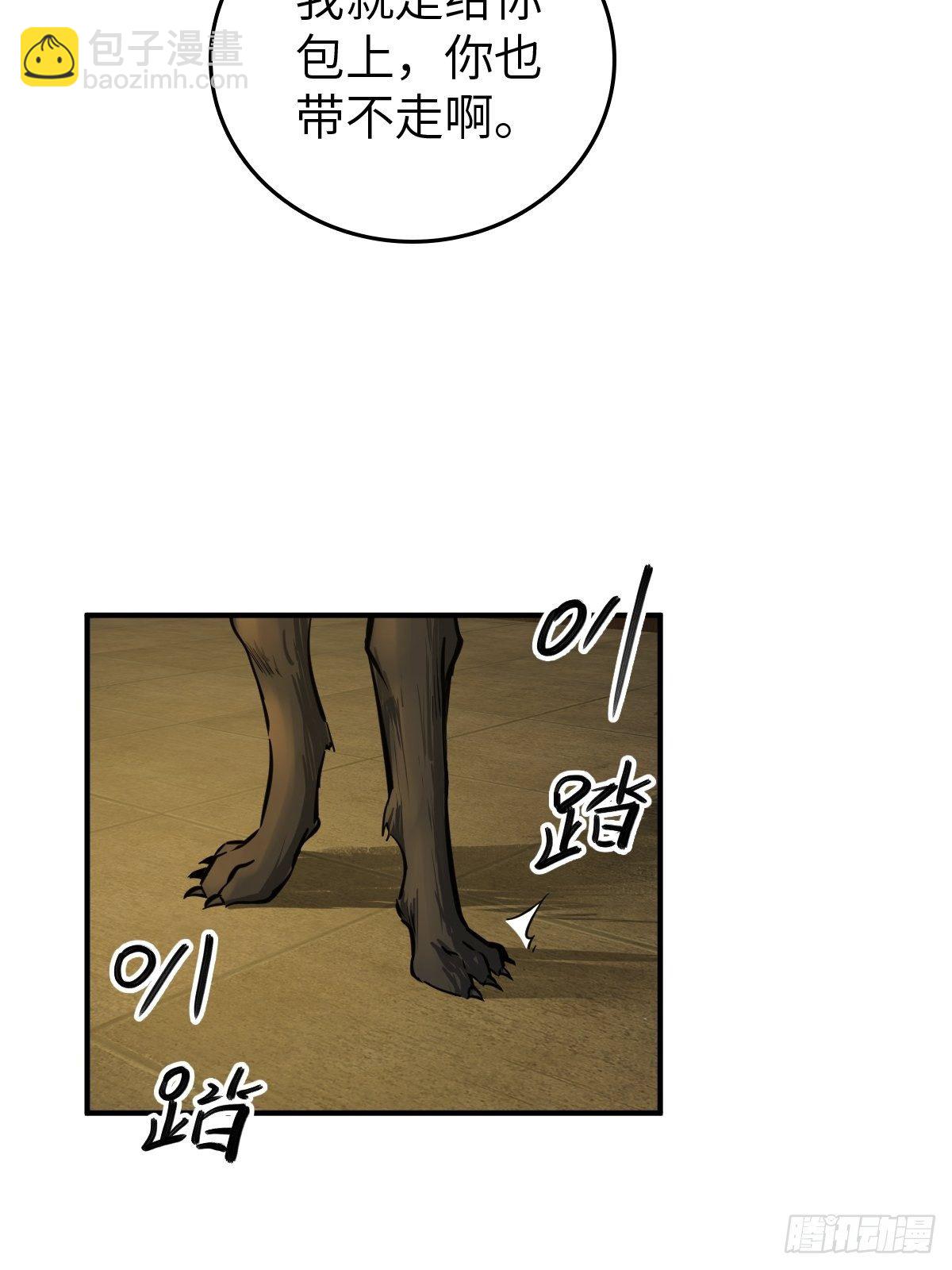113 希夷31