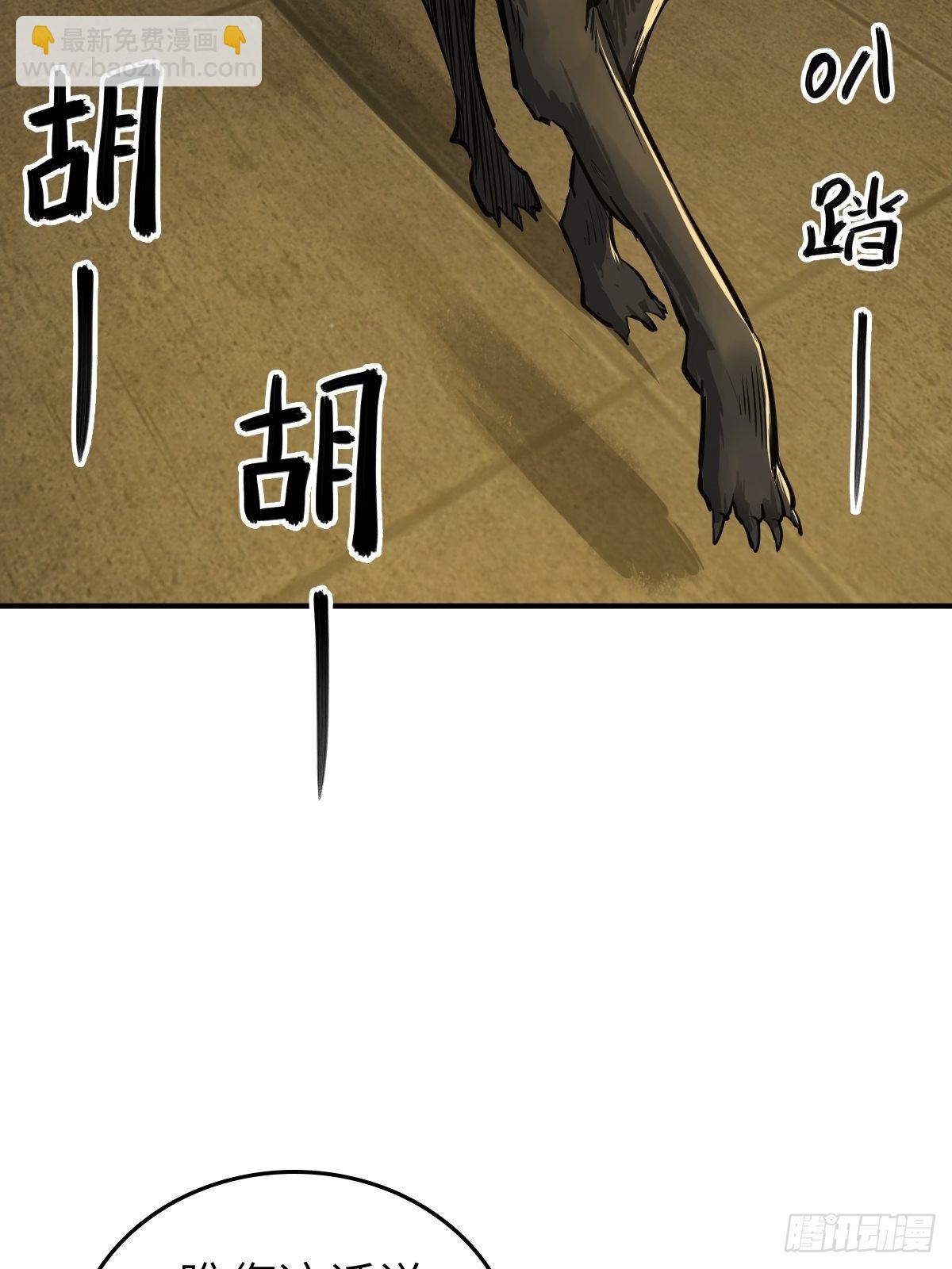 113 希夷33