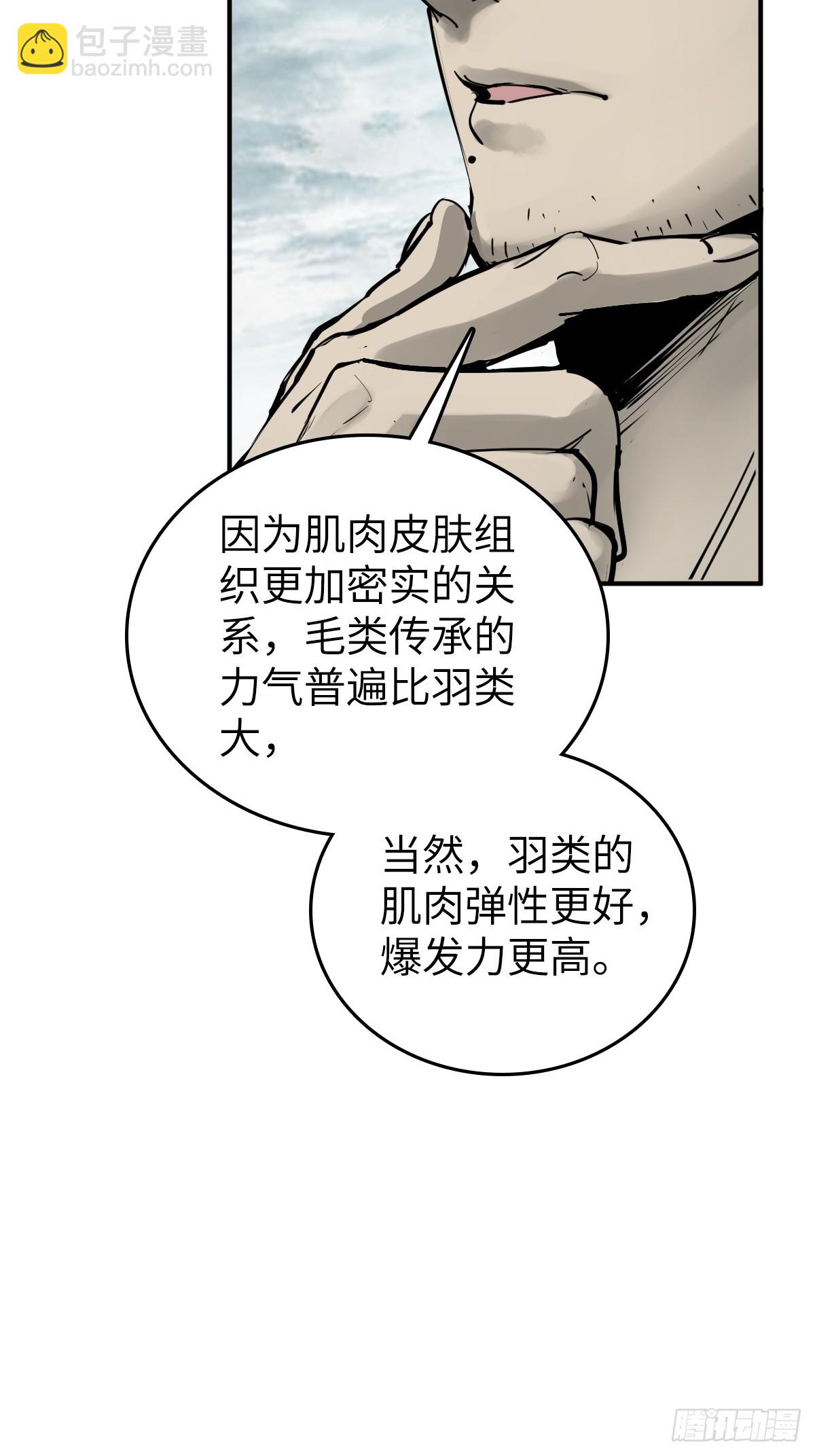 199 火鼎公属，镇海蝾螈！56