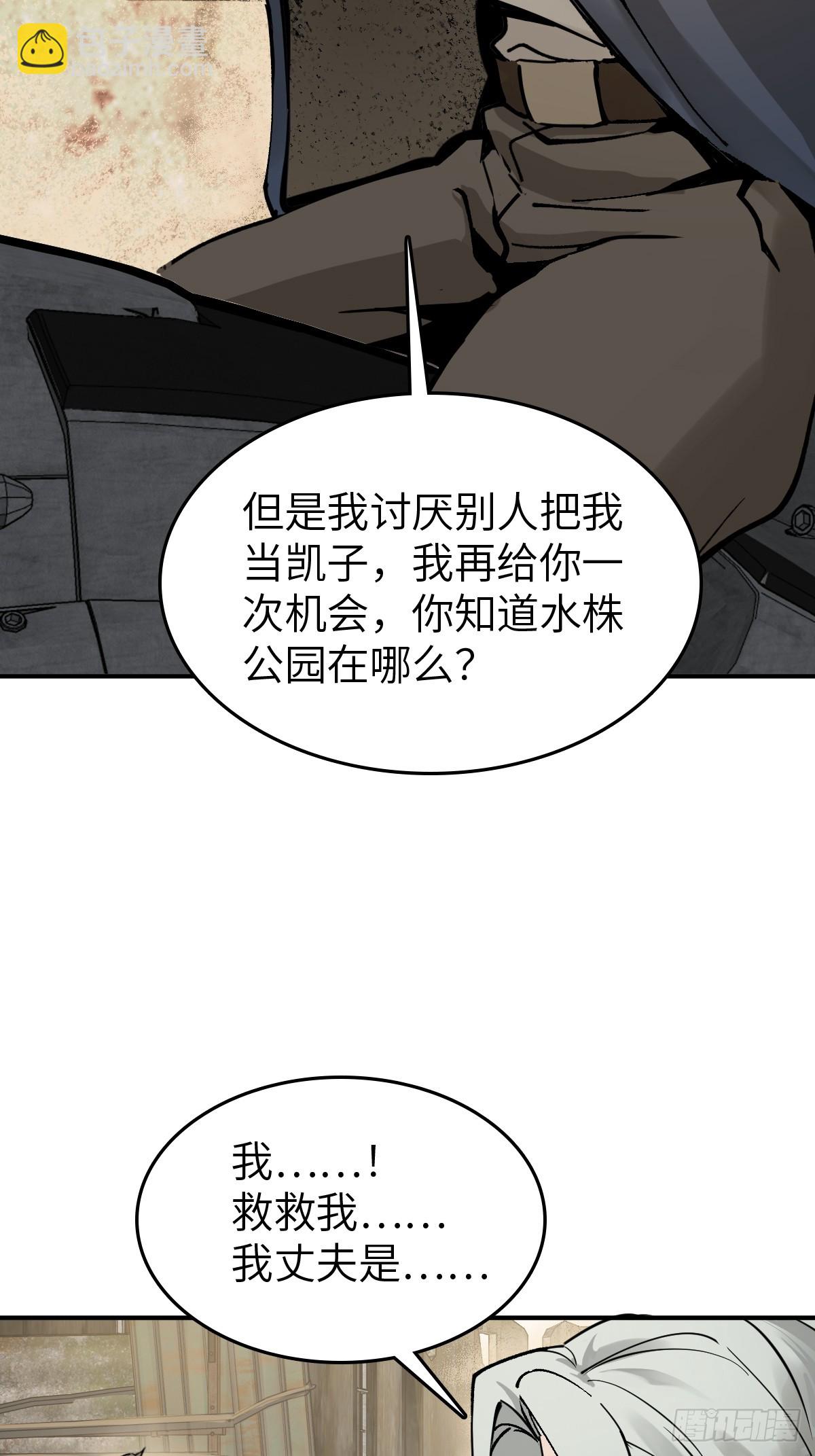 253 双枪救国者10