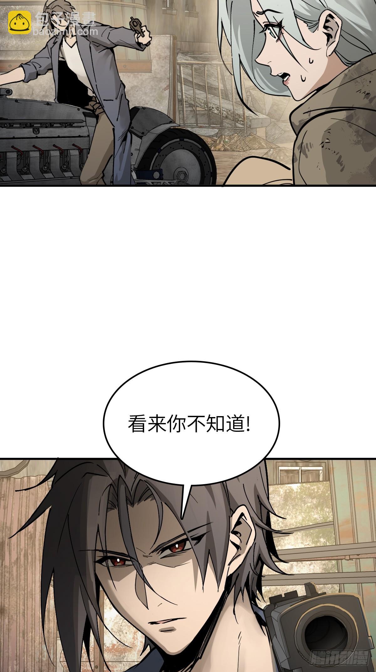 253 双枪救国者11