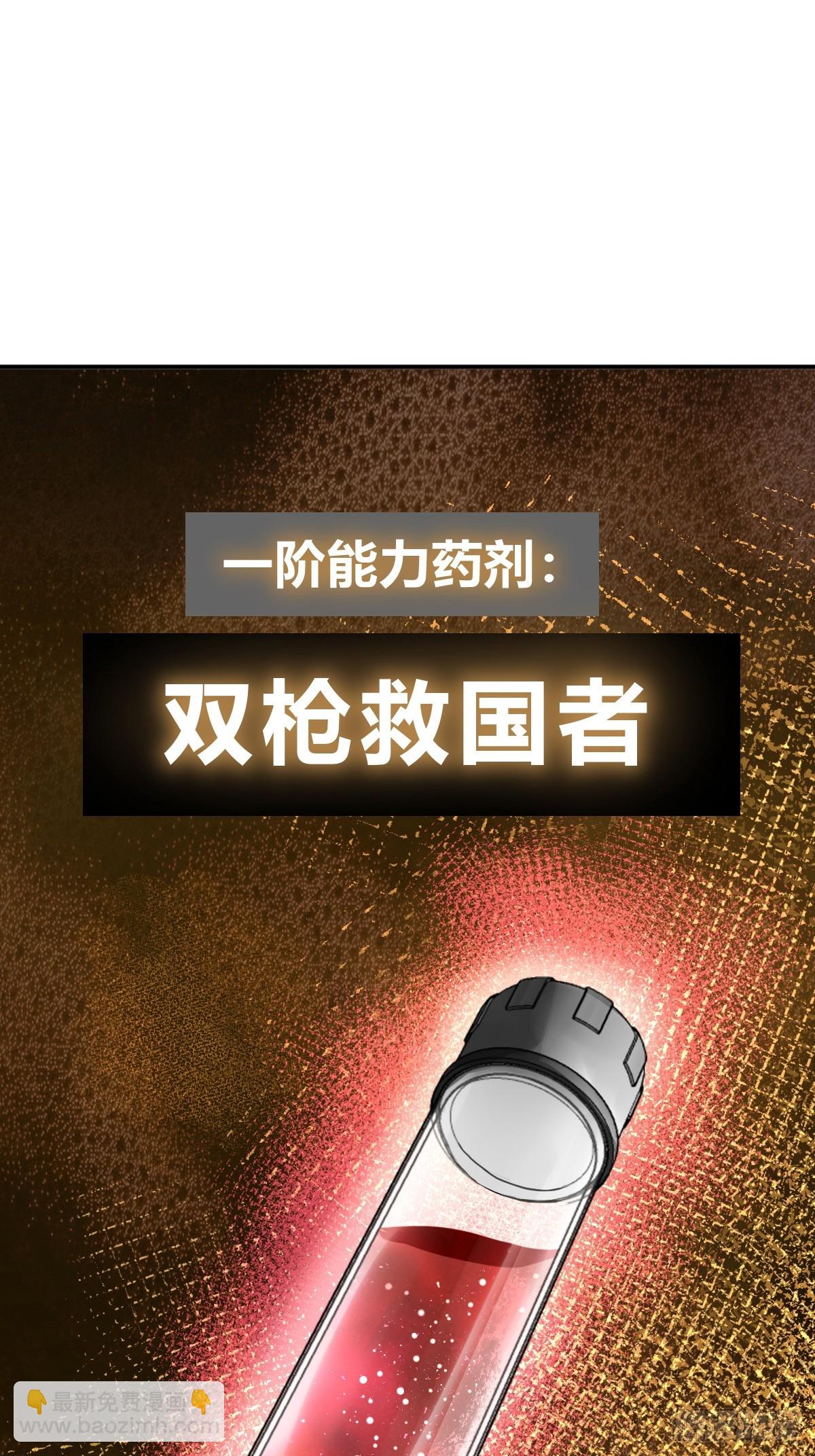 253 双枪救国者14