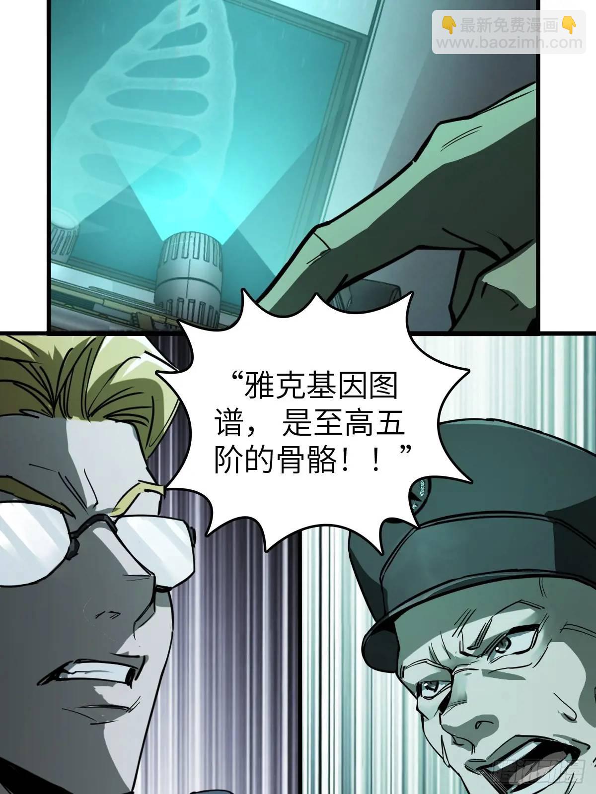 288 至高五阶！7