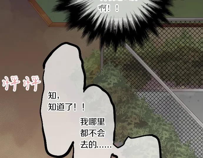 第72话 夏日庆典、临近61
